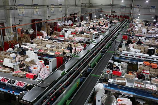 eed465285cfb1271de828f7f8e67995